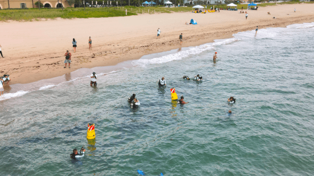 Diverse group of people participating in a marine event, engaging in activities in the water with diving equipment and safety markers, alongside a sandy beach setting.
